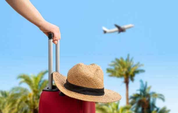 Capognic airport transportation service